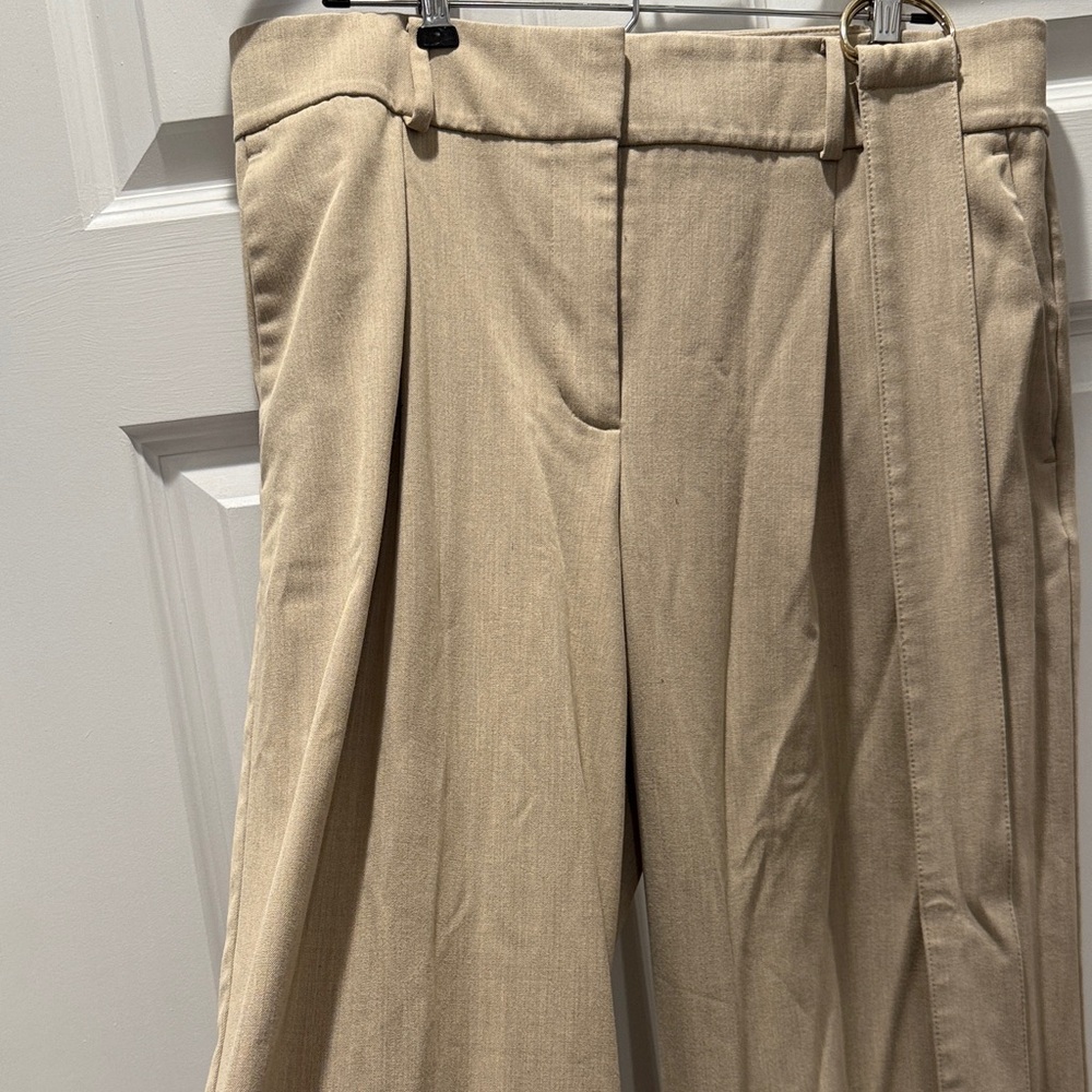 Ann Taylor Women's Tan Dress Trousers
